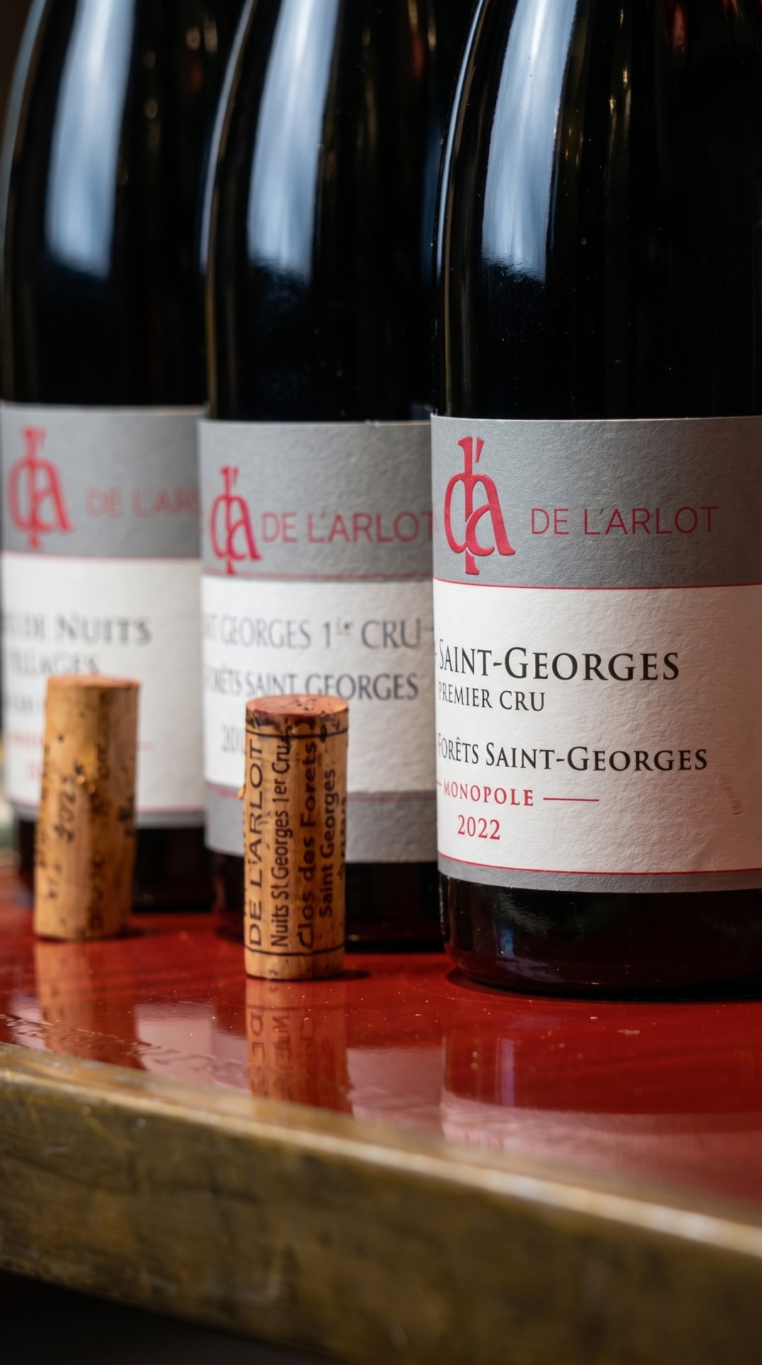 A Journey Through the Finest Expressions of Bourgogne